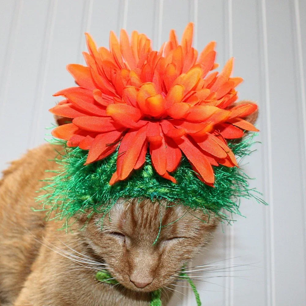 HAND CRAFTED Flower Child Cat Hat Crochet Hairy Wig Costume Photo Prop